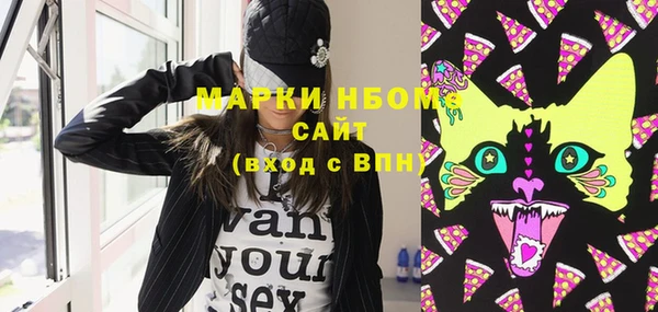 индика Баксан