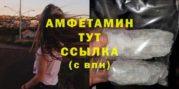 индика Баксан